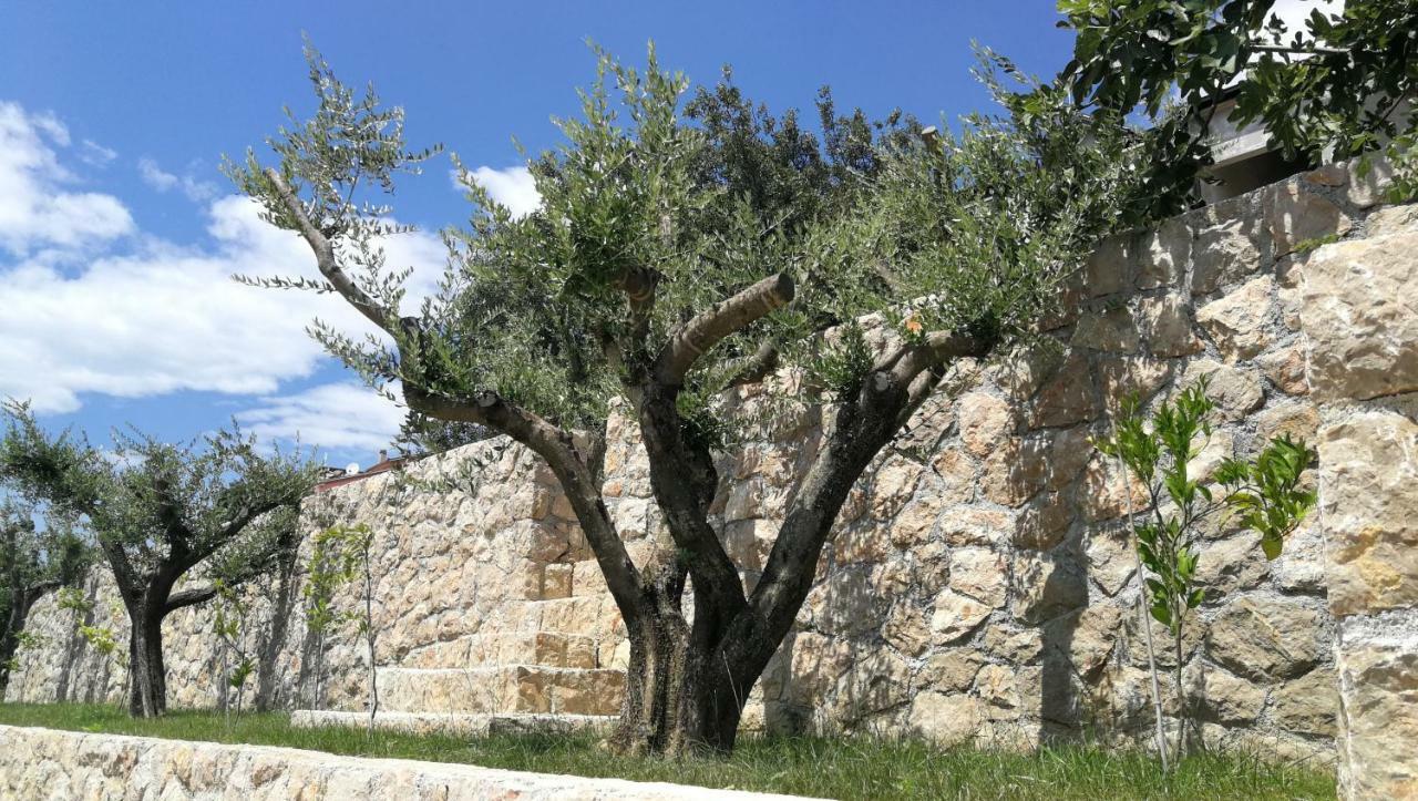 Apartmani Goga Starigrad Paklenica Exterior photo